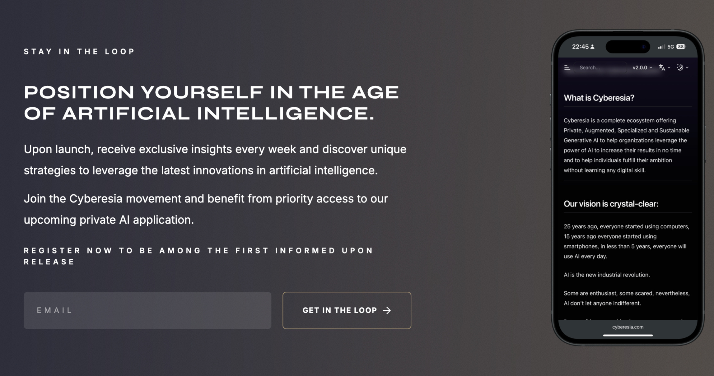 Join the Cyberesia newsletter